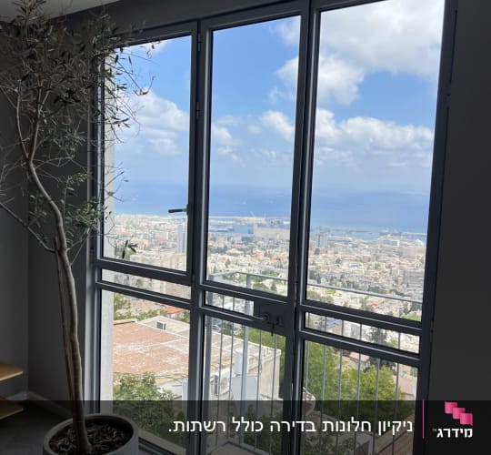 חלון גדול עם נוף לעיר ועץ בעציץ